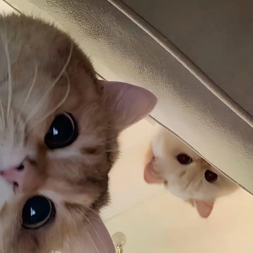 lu lu☁️