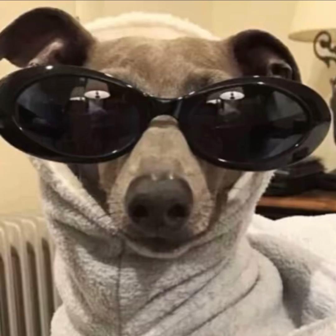 炫动数码 置换回收 维修