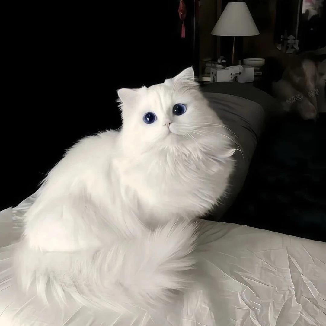 _