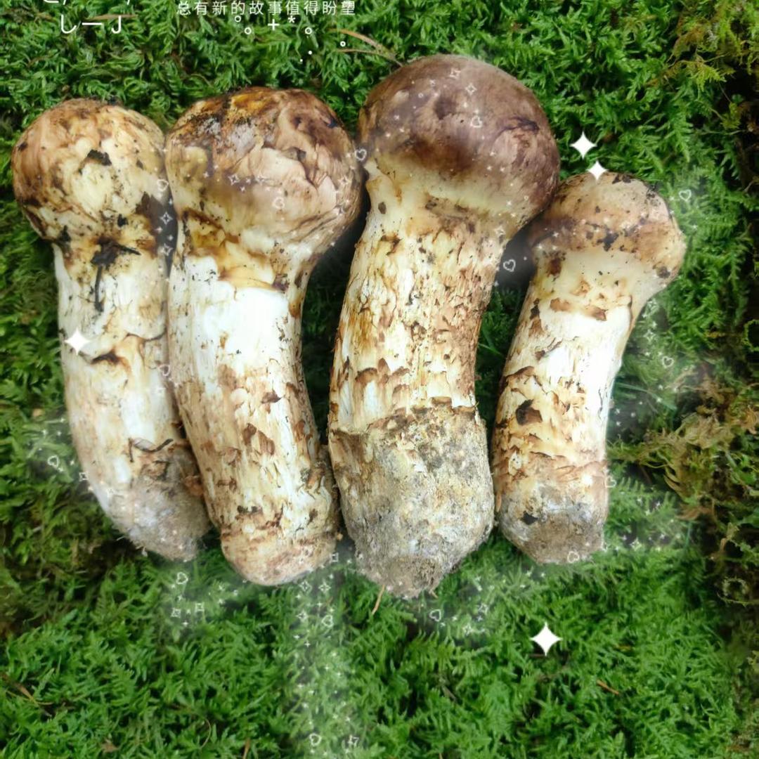 井泉农产品土特产