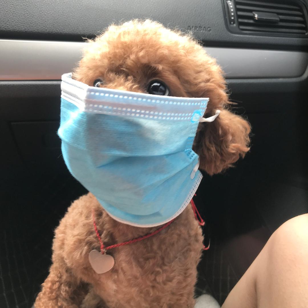 雄姐