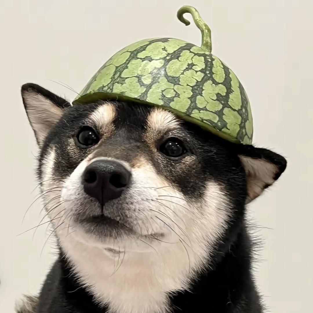 人生有米服饰