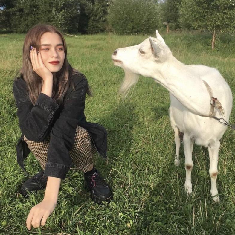 H.yyan/🥕