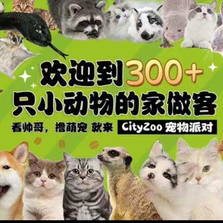 cityzoo宠物派对-猫狗异宠咖啡店