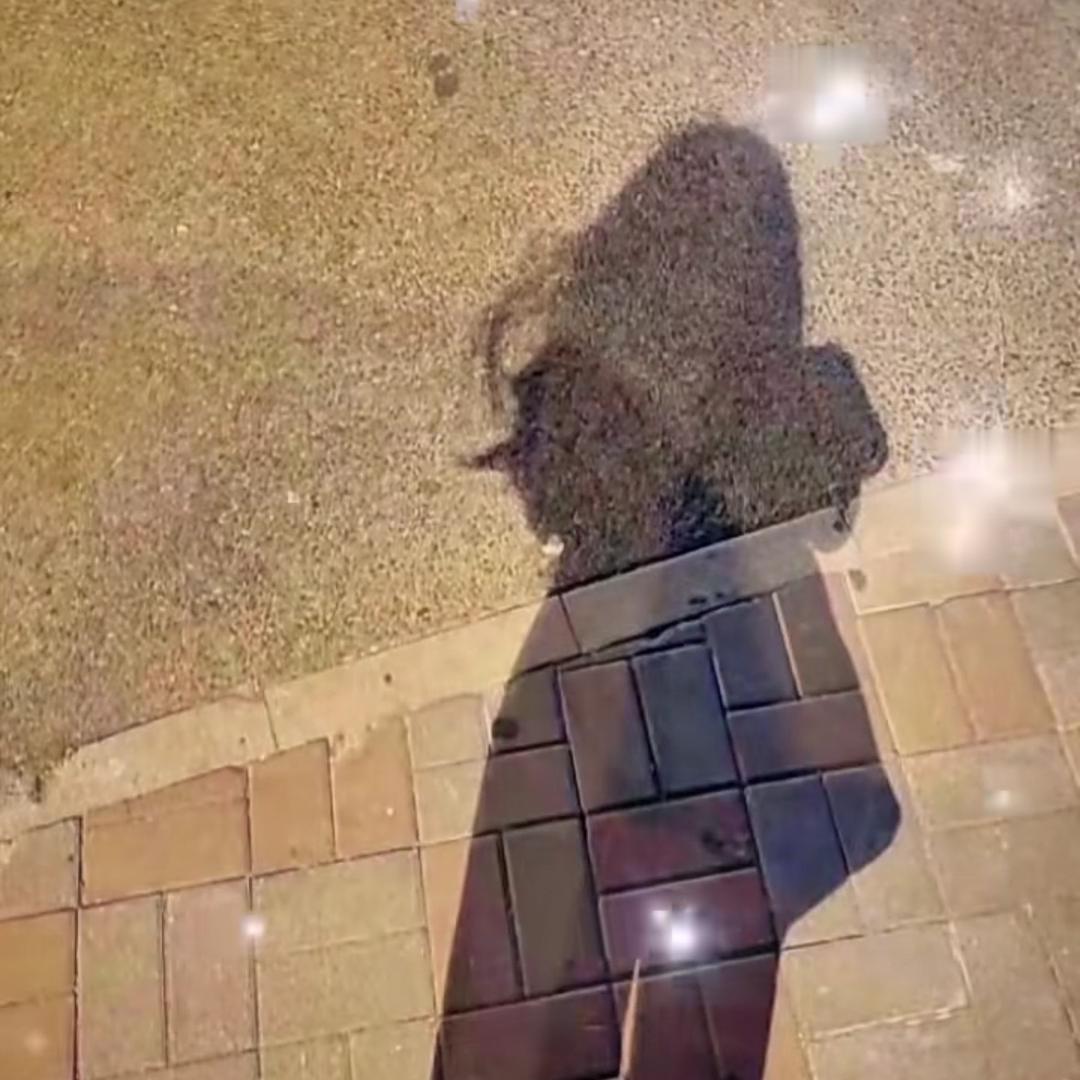 晴