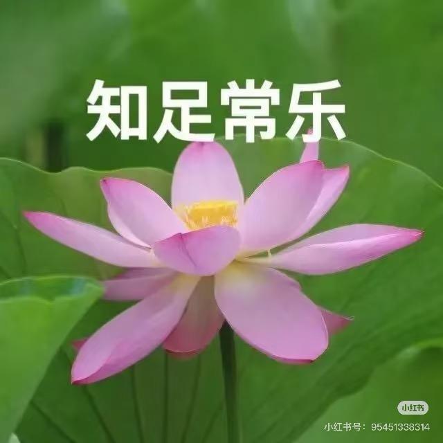 鸿星竞技团