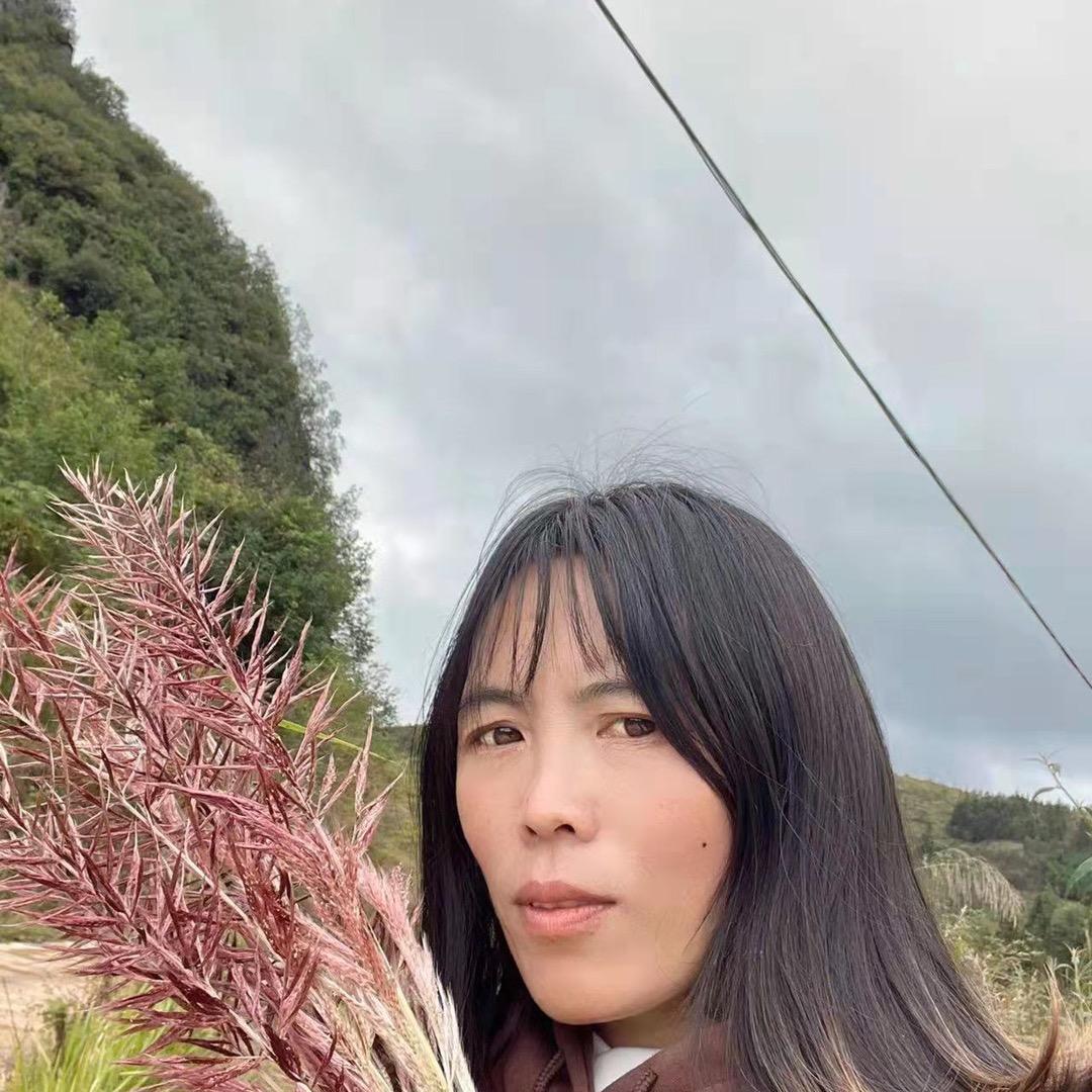 兰姐