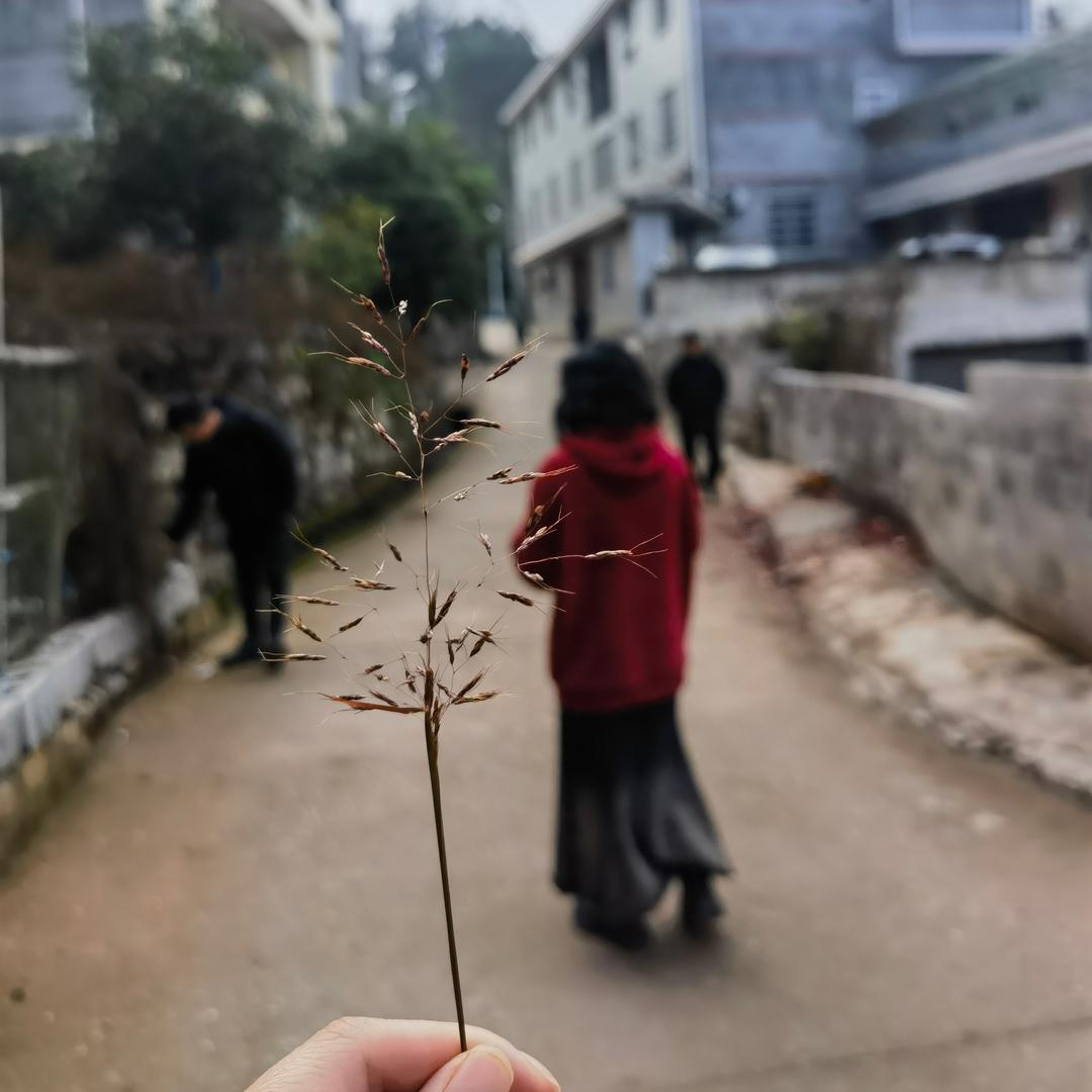 靖璿公子爱运动