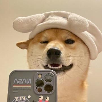 天天膜