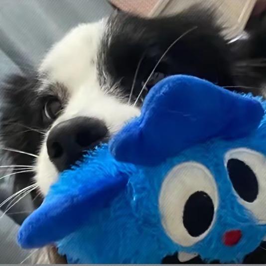 述