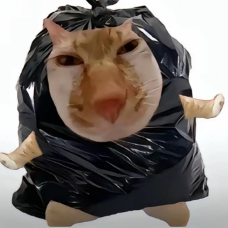 憨憨猪