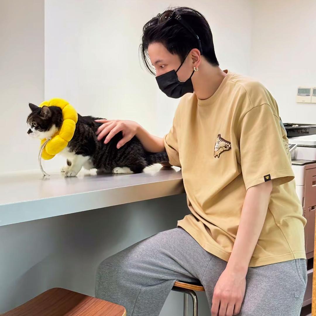 提钱退休的🐈‍⬛守村人-Y先生