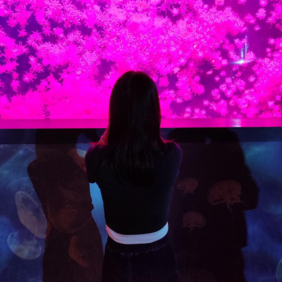 榴莲小丸纸