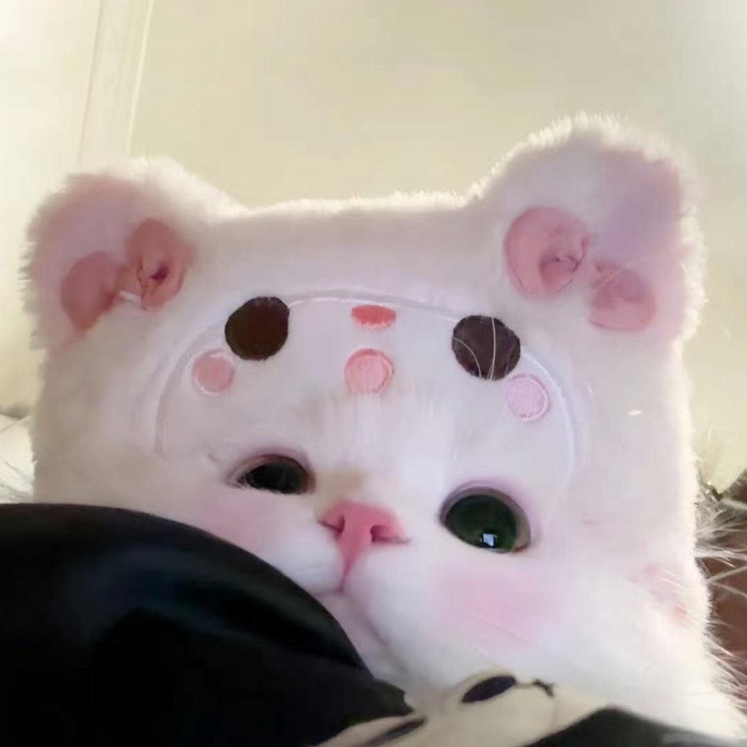 ʚ湫宝ɞ