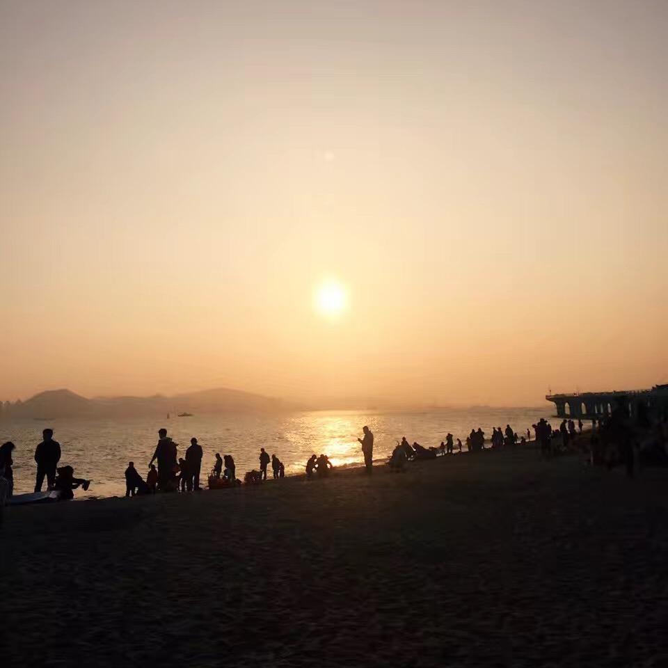 游遍所见