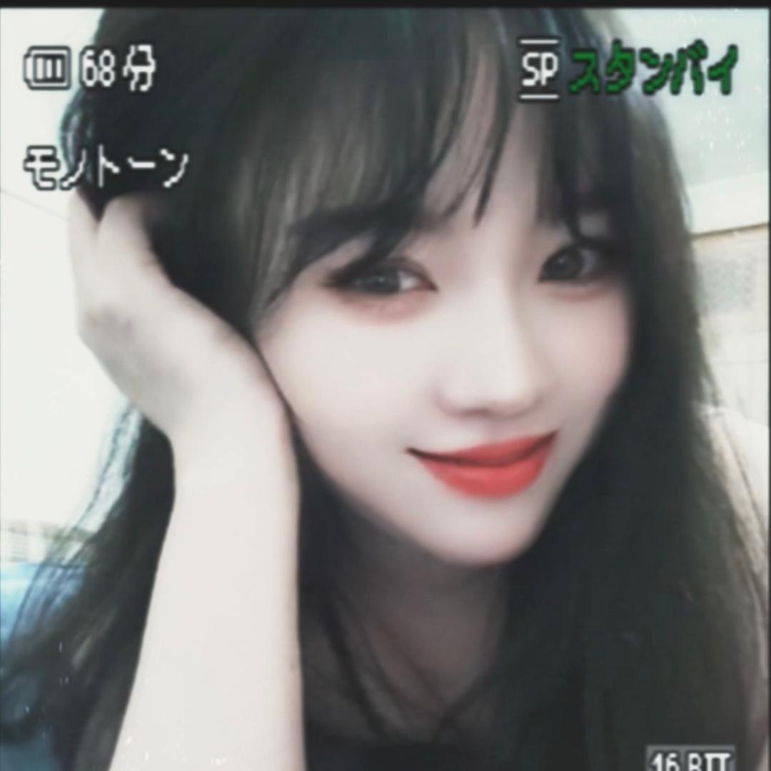 珍小姐的日常