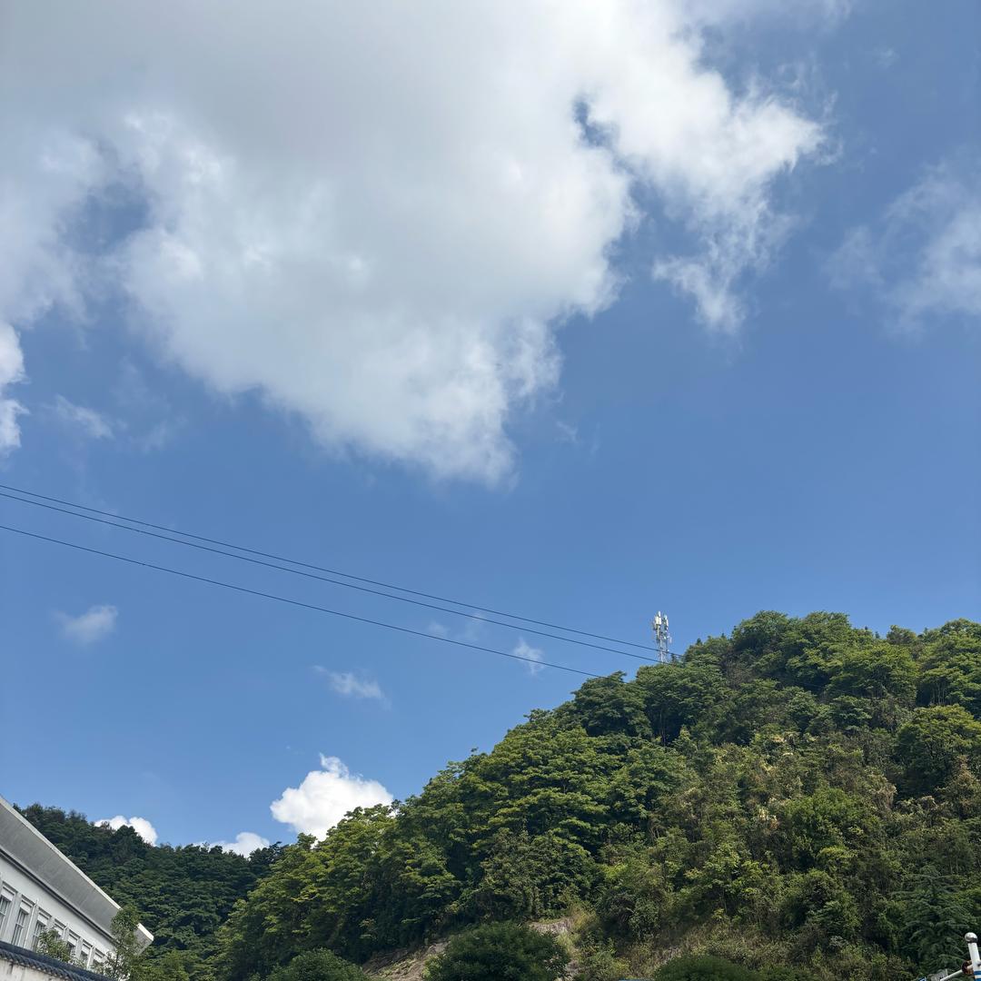 小2柯