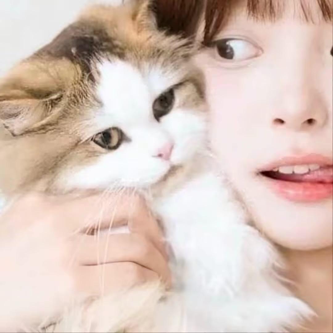 杨枝甘露去冰🧊