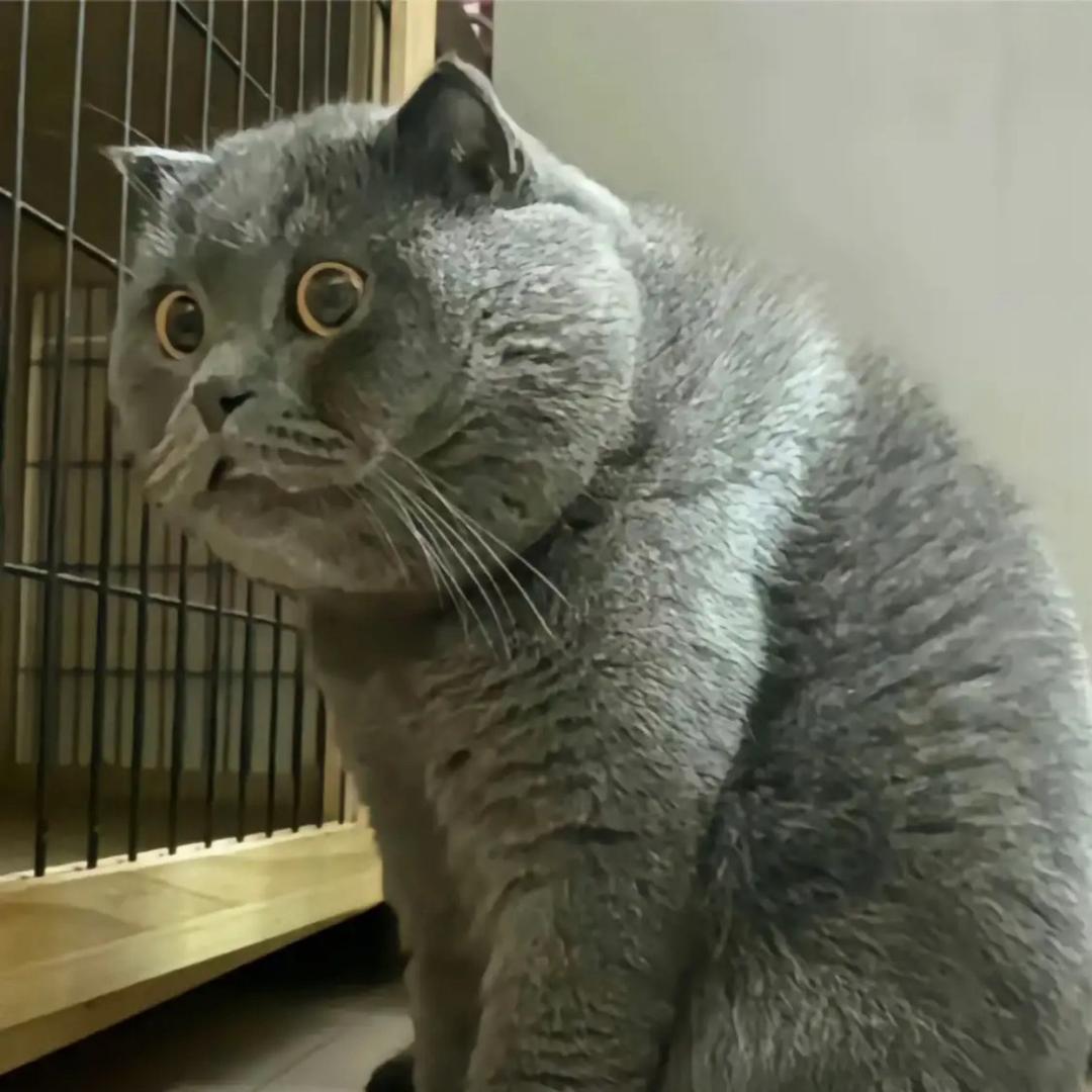 🏇🏼🏇🏼🏇🏼🏇🏼🏇🏼