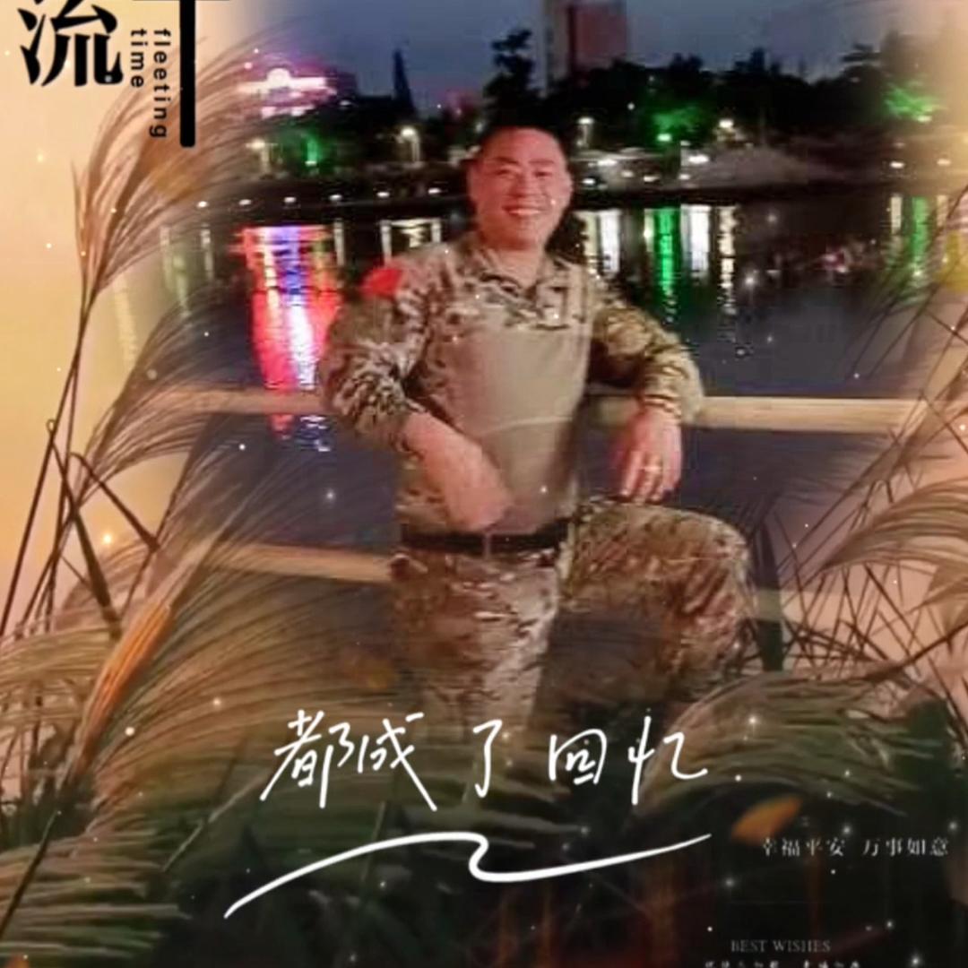 bin茶是故乡浓