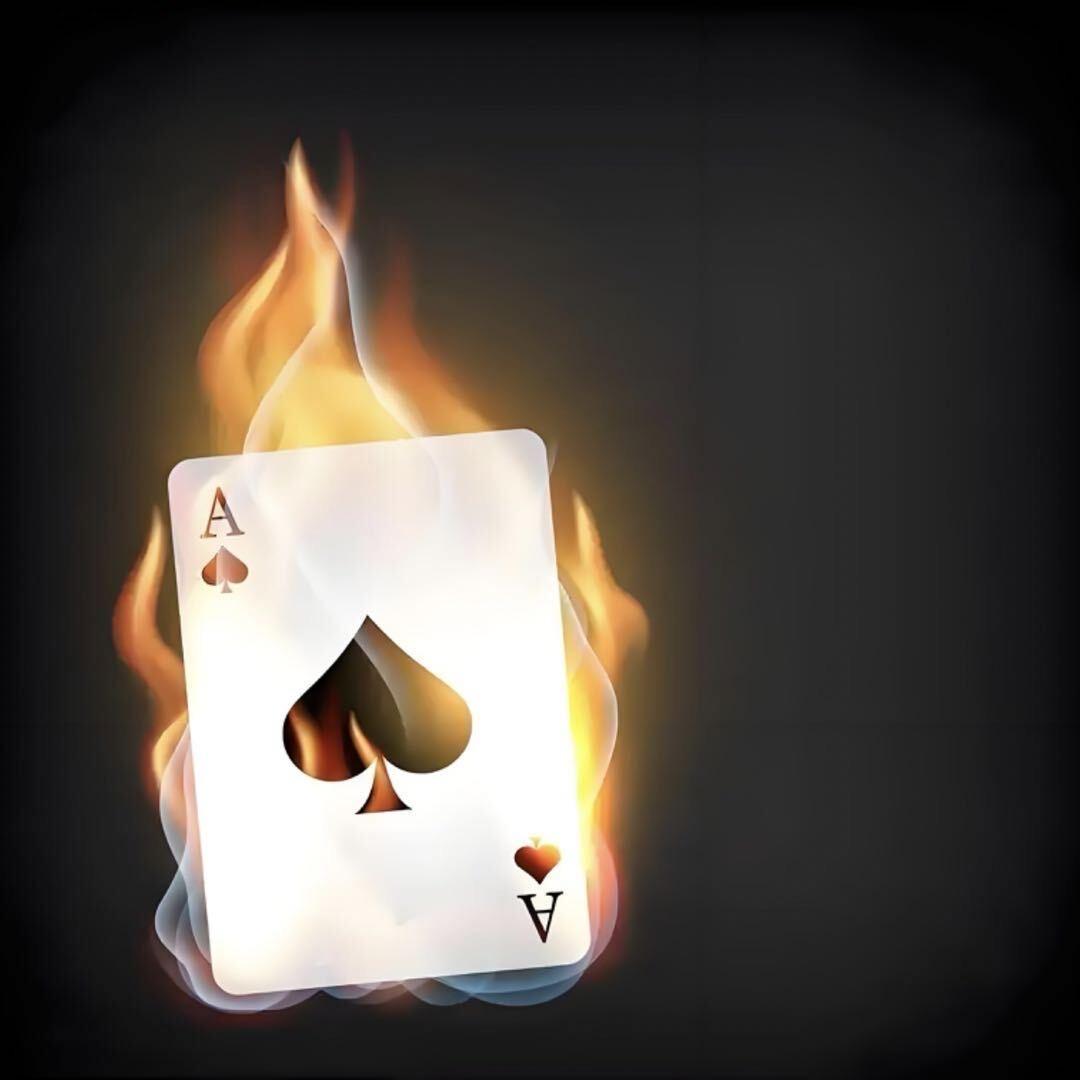 新野县奋浩商贸有限公司