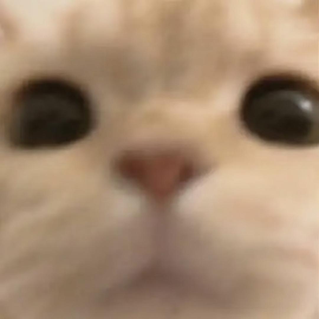 小xixi