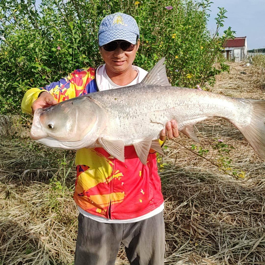 阿甘  🎣