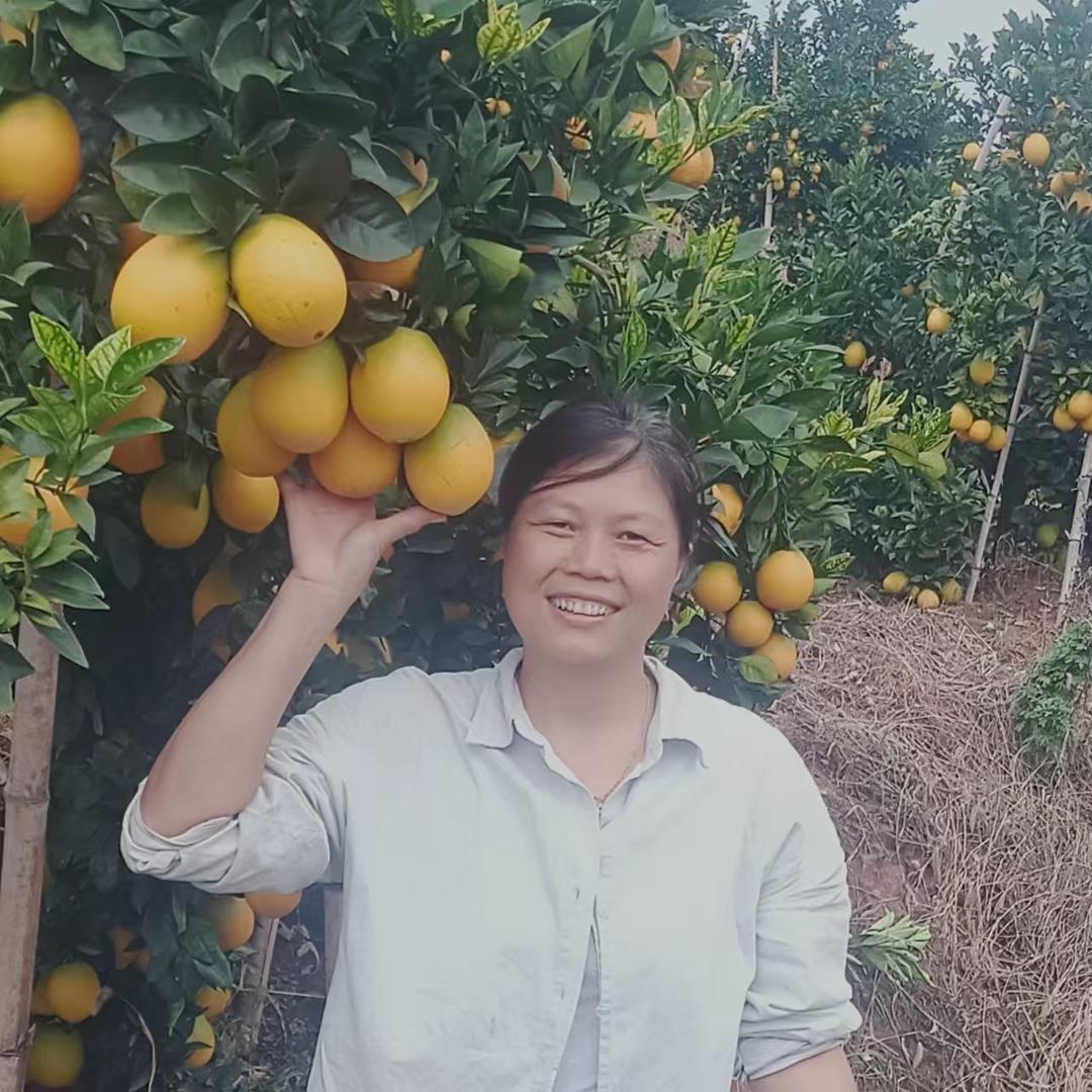 维盛种植园新鲜农产生活坊