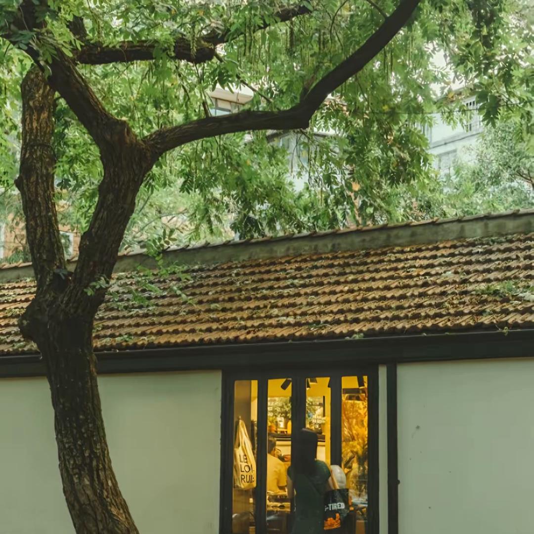 @一棵树🌲