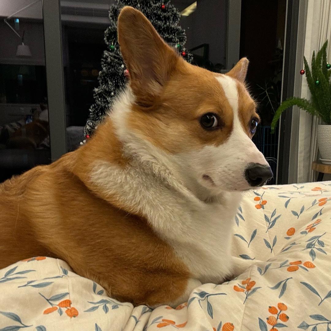是小庞啦