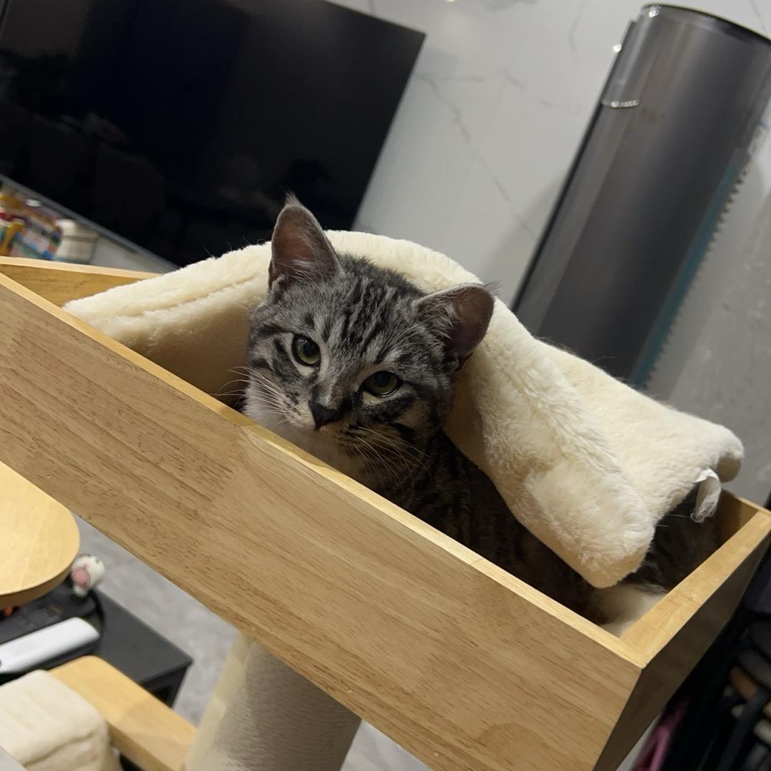 马达老萌萌