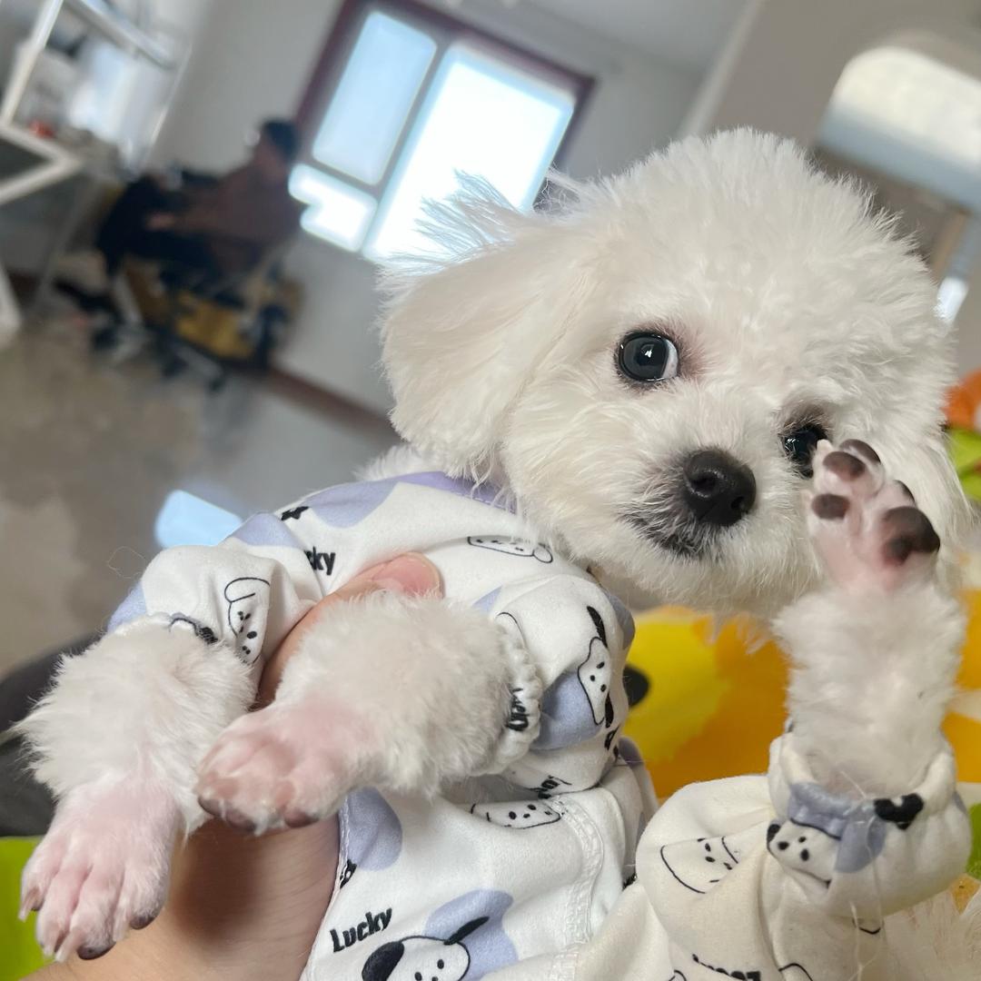 十一姑娘的日常分享