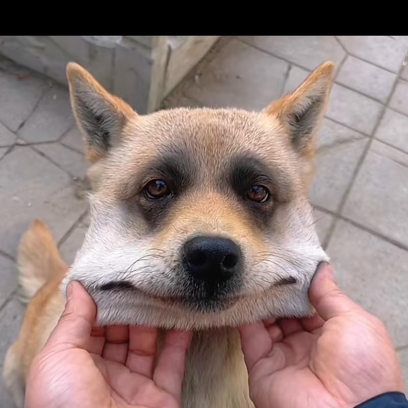 林♡