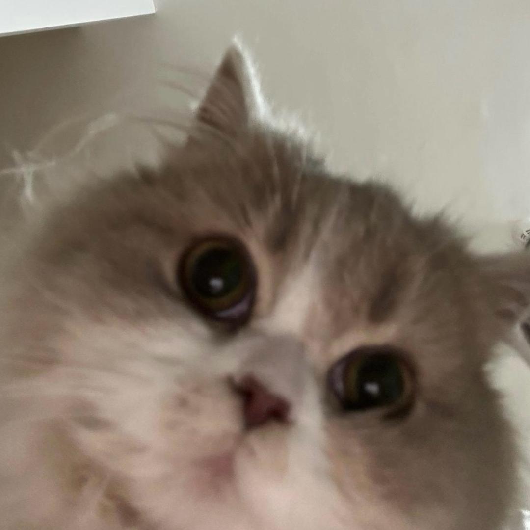 不送你一束花