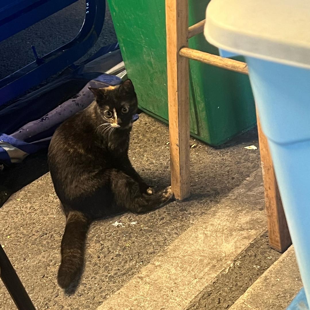 Bulu-泰式小卡啦咪