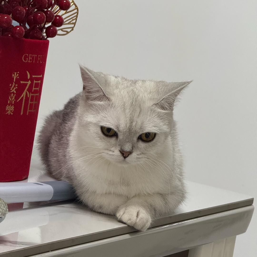 我是糖果🍬呀