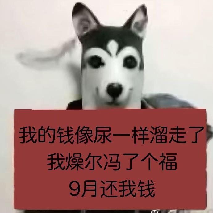 百奇