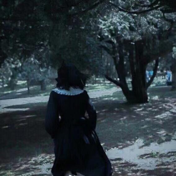 南北糖醋鱼大王