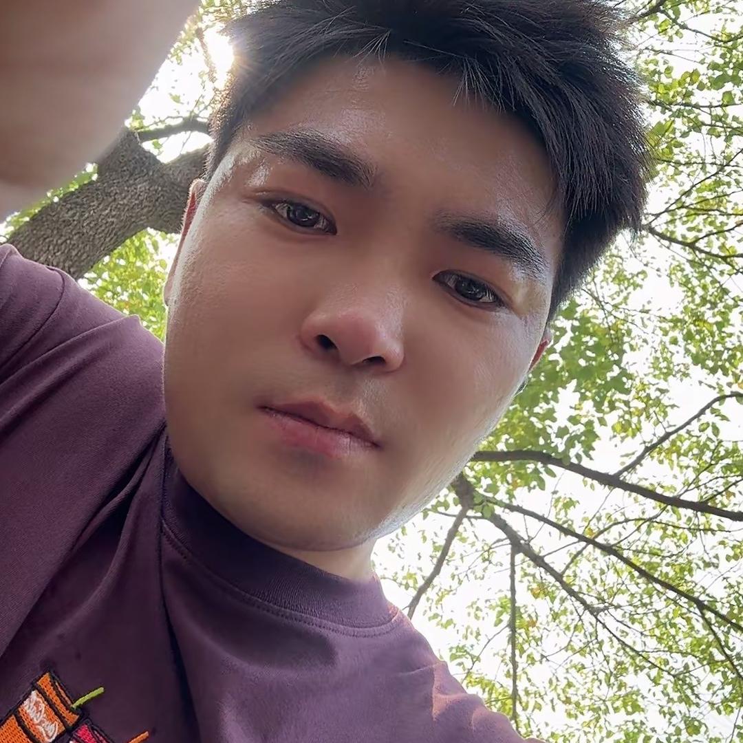 进城的牛🐮
