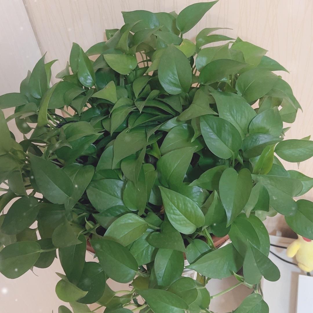 沐沐你好