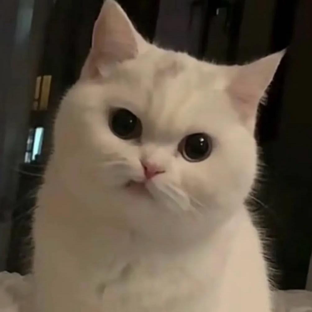 🌞世中仙儿～👀