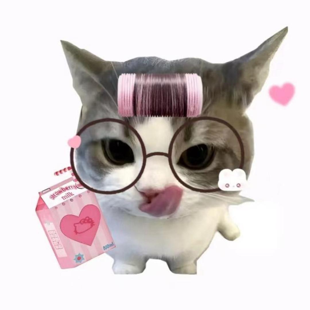 狐菲菲🦊