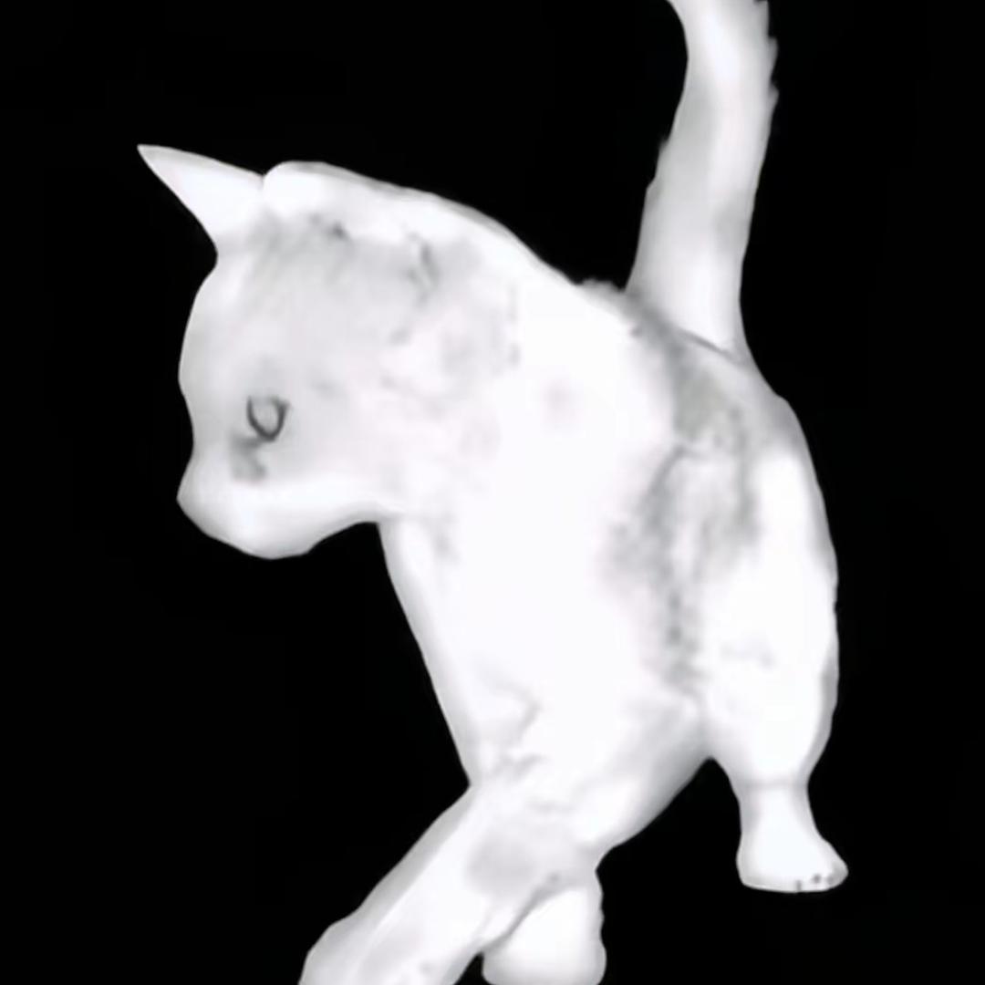 一博