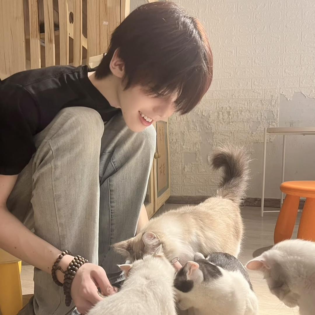 沉着冷静自信阳爷