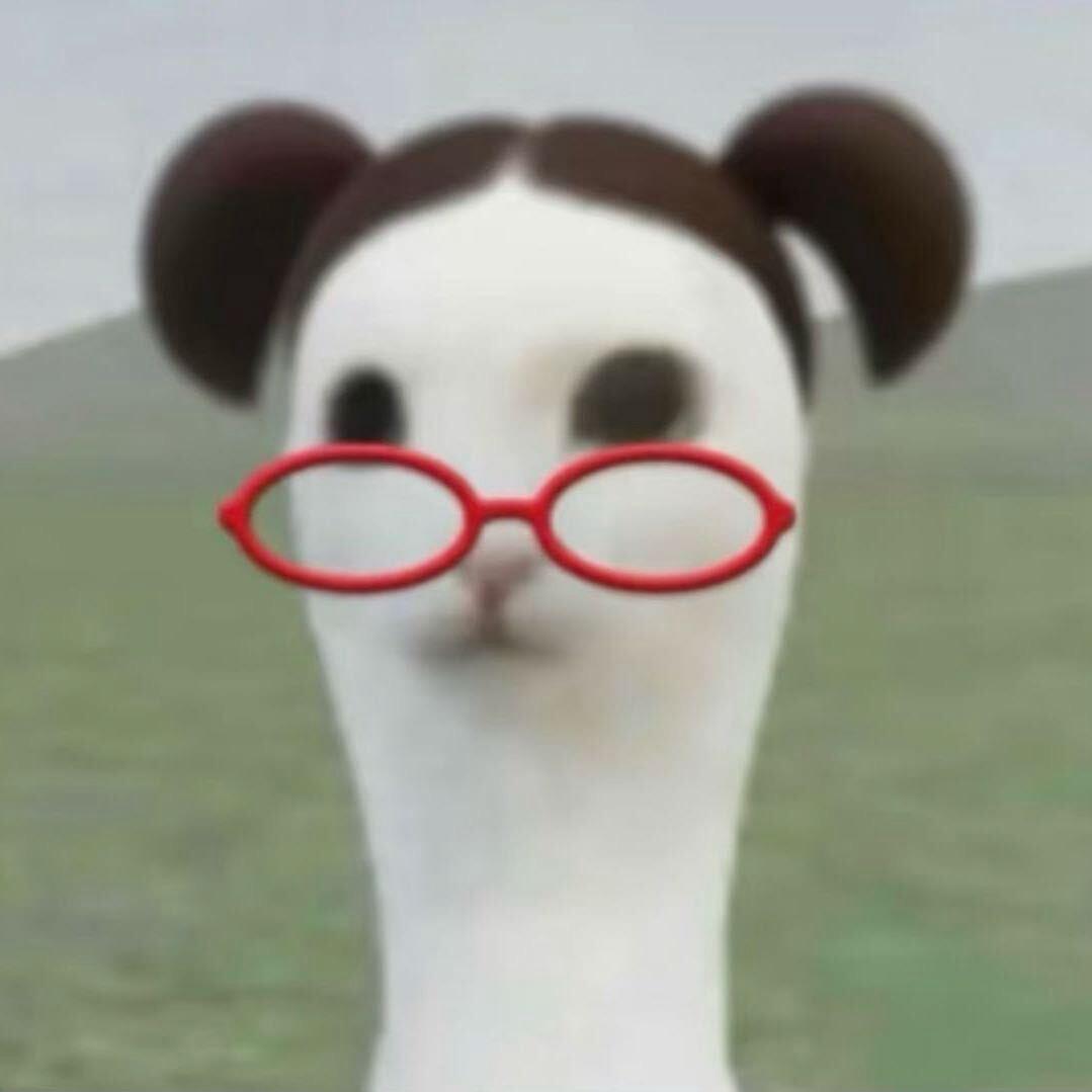 当公主好难www