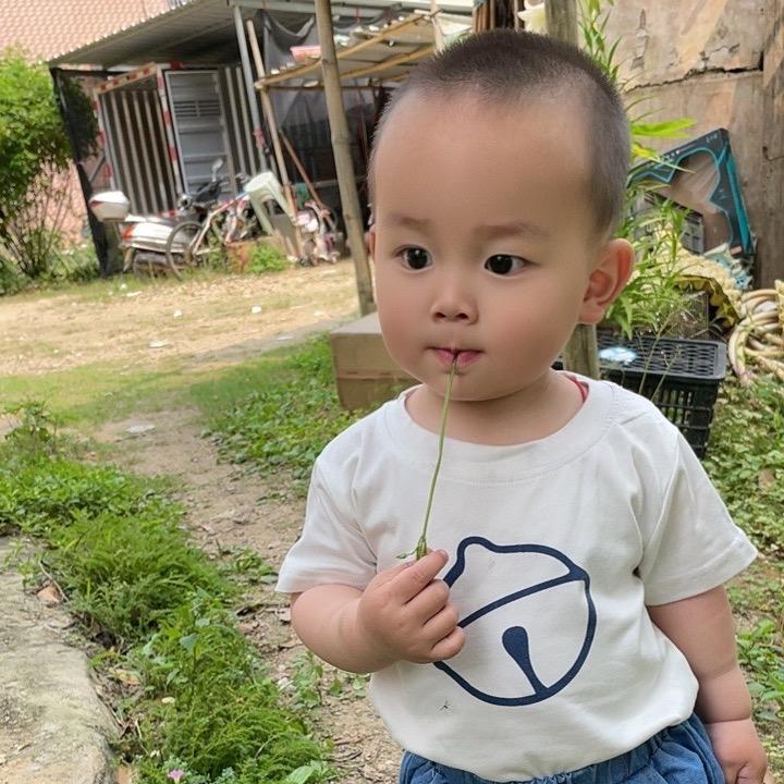 你燕姐
