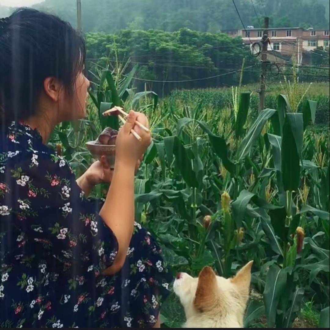 王丑丑丨卤菜培训（收徒）
