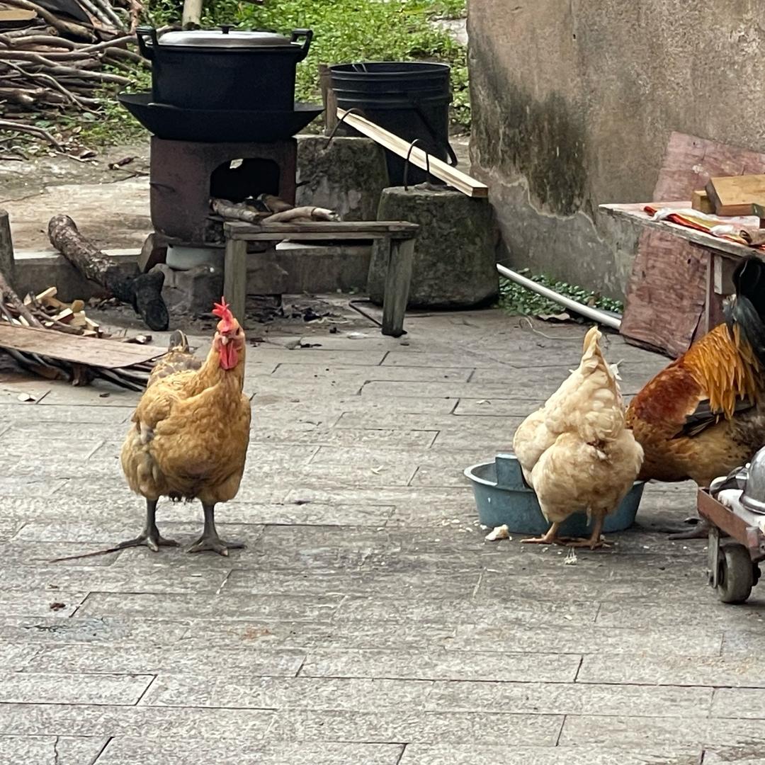 一勺料汁