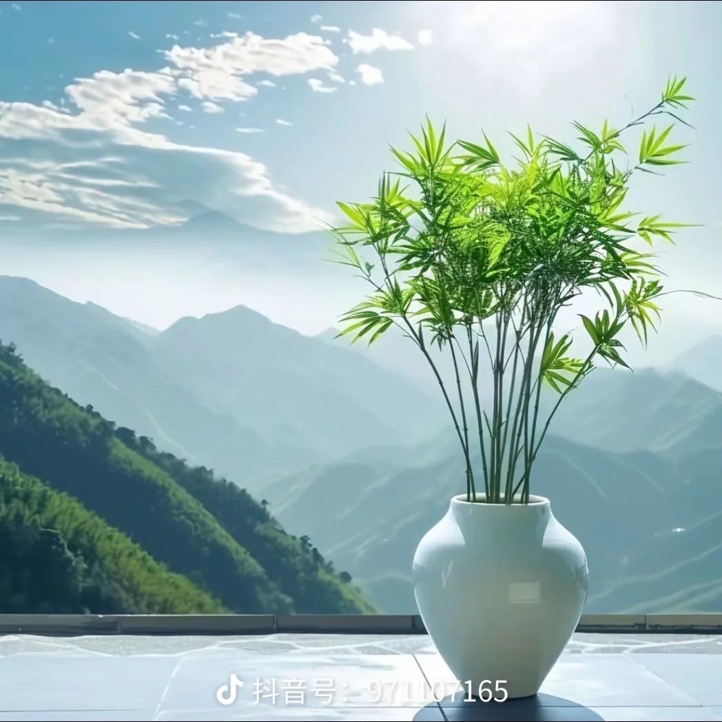 来程商贸