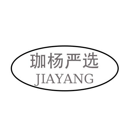Morning Fog饰品